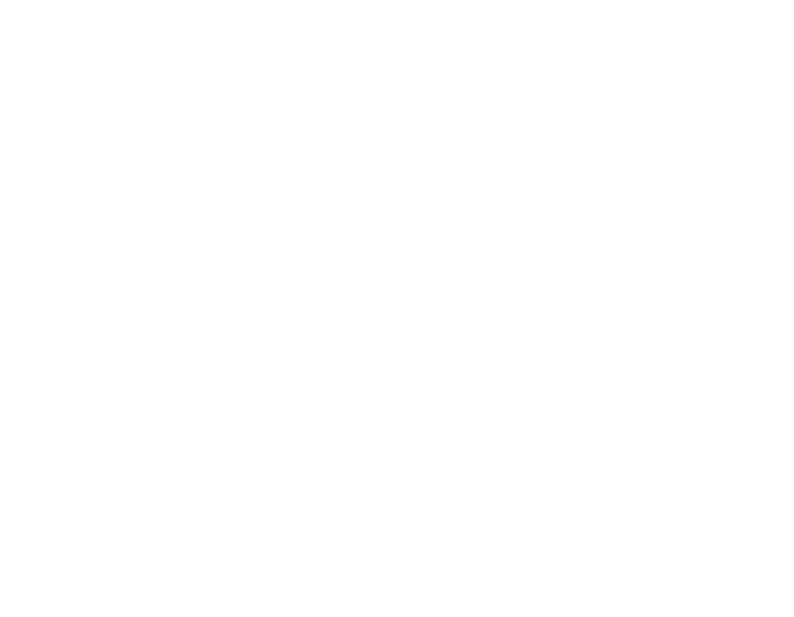 Logo VG Orchids