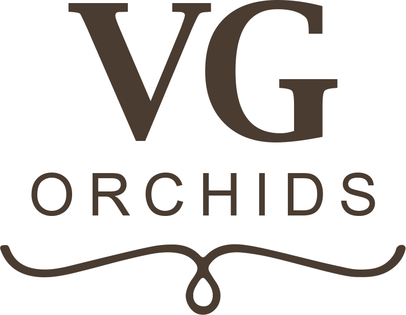 Logo VG Orchids